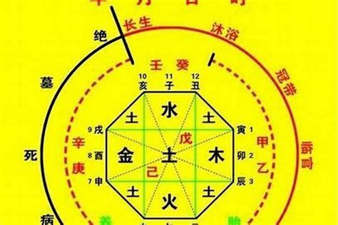 先天五行查詢|生辰八字算命、五行喜用神查询（免费测算）